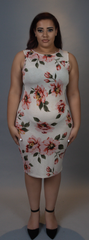 Pink & Cream Floral dress (Plus)