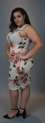 Pink & Cream Floral dress (Plus)