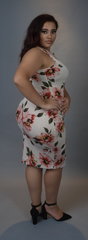 Pink & Cream Floral dress (Plus)