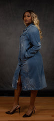 Chilled Out Denim Dress (Plus)