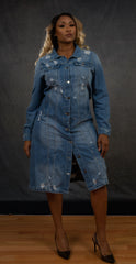 Chilled Out Denim Dress (Plus)